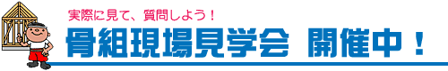 骨組現場見学会開催中